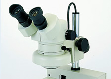 Stereo Microscopes